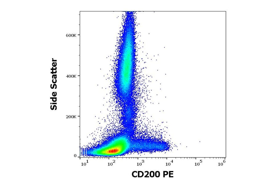 Flow Cytometry - Anti-CD200/OX2 Antibody [OX-104] (PE) (A86057)