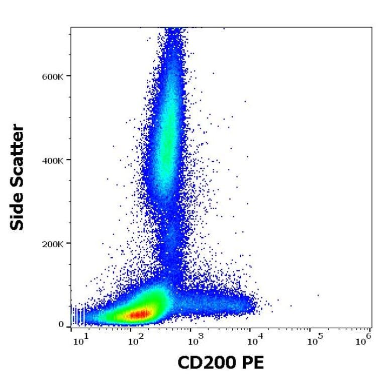 Flow Cytometry - Anti-CD200/OX2 Antibody [OX-104] (PE) (A86057)