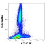 Flow Cytometry - Anti-CD200/OX2 Antibody [OX-104] (PE) (A86057)