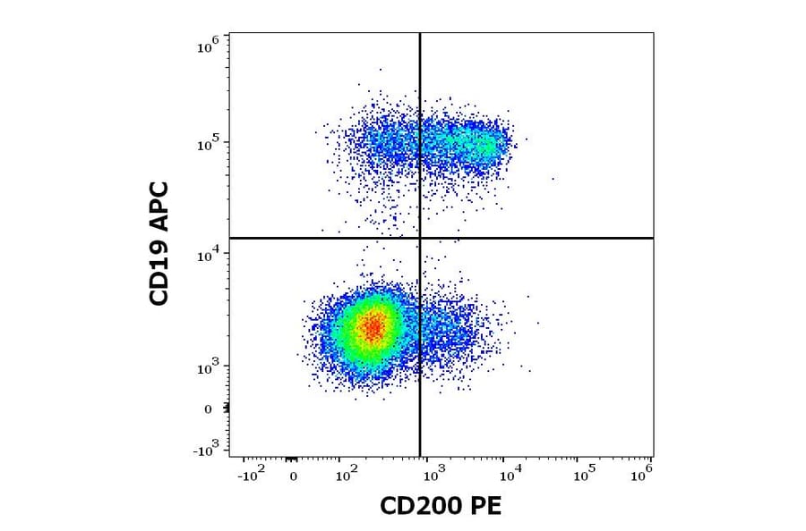 Flow Cytometry - Anti-CD200/OX2 Antibody [OX-104] (PE) (A86057)