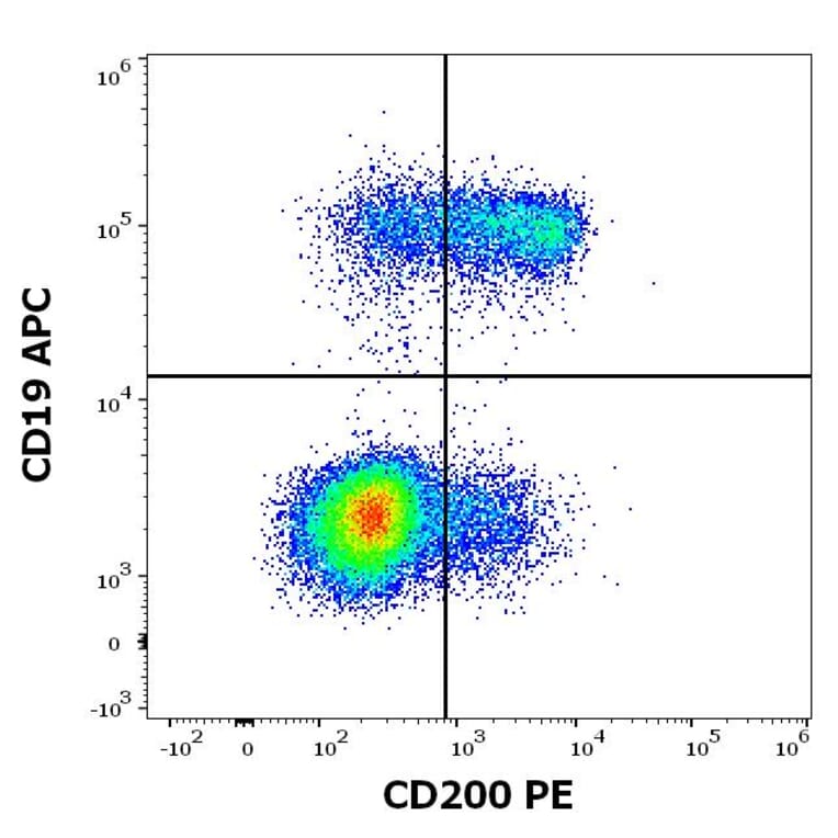 Flow Cytometry - Anti-CD200/OX2 Antibody [OX-104] (PE) (A86057)