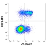 Flow Cytometry - Anti-CD200/OX2 Antibody [OX-104] (PE) (A86057)
