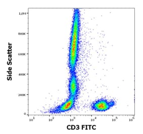 Flow Cytometry - Anti-CD3 Antibody [MEM-57] (FITC) (A86062)