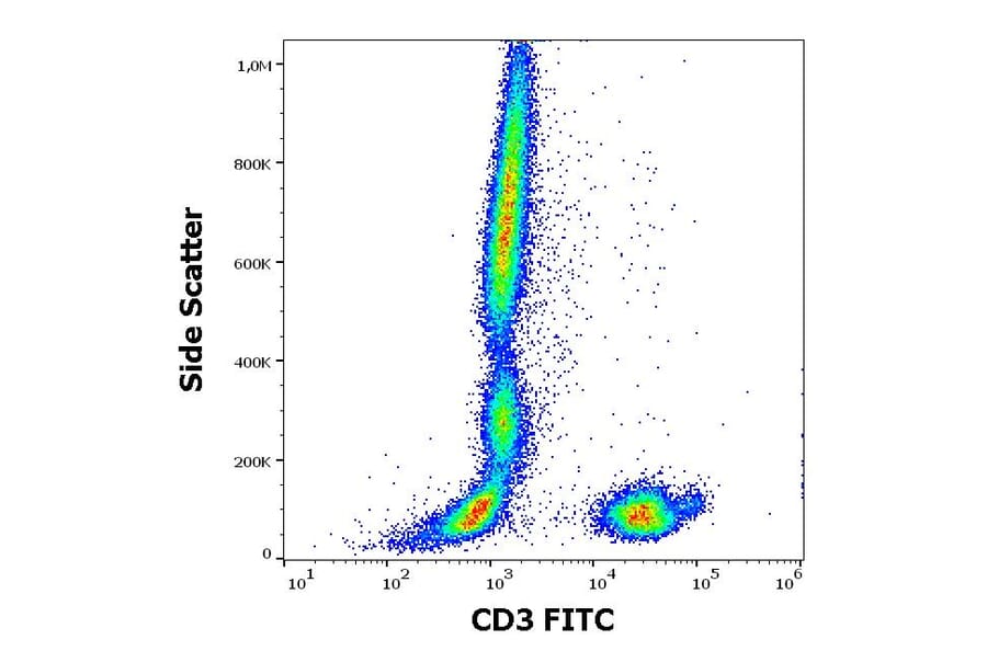 Flow Cytometry - Anti-CD3 Antibody [MEM-57] (FITC) (A86062)