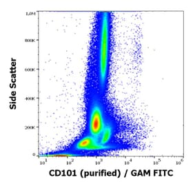 Flow Cytometry - Anti-CD101 Antibody [BB27] (A86070)