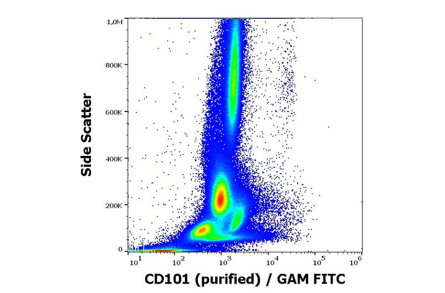 Flow Cytometry - Anti-CD101 Antibody [BB27] (A86070)