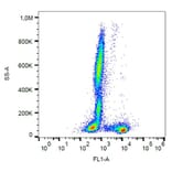 Flow Cytometry - Anti-CD27 Antibody [LT27] (FITC) (A86077)