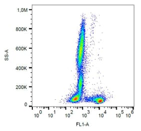 Flow Cytometry - Anti-CD27 Antibody [LT27] (FITC) (A86076) - Antibodies.com