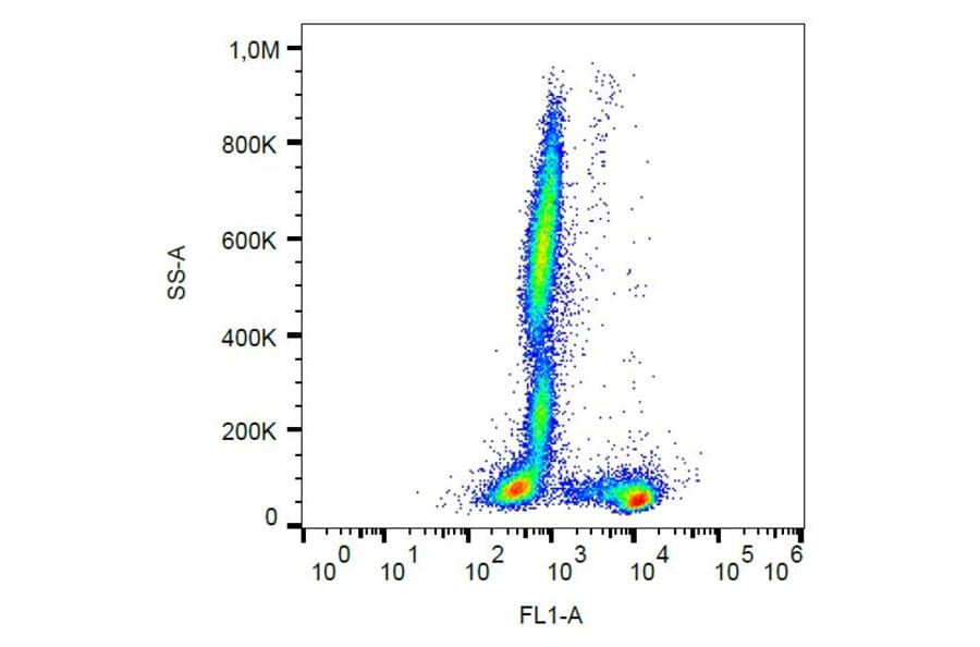Flow Cytometry - Anti-CD27 Antibody [LT27] (FITC) (A86076) - Antibodies.com