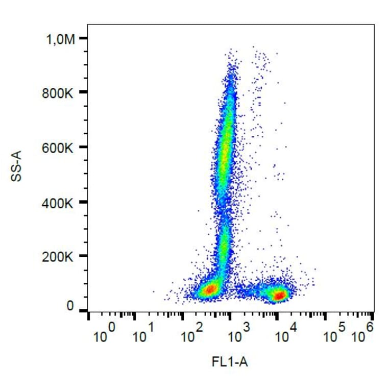 Flow Cytometry - Anti-CD27 Antibody [LT27] (FITC) (A86076) - Antibodies.com