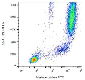 Flow Cytometry - Anti-Myeloperoxidase Antibody [MPO421-8B2] (FITC) (A86078)