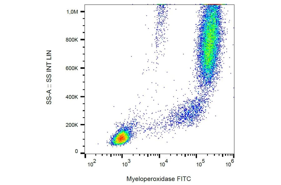 Flow Cytometry - Anti-Myeloperoxidase Antibody [MPO421-8B2] (FITC) (A86078)