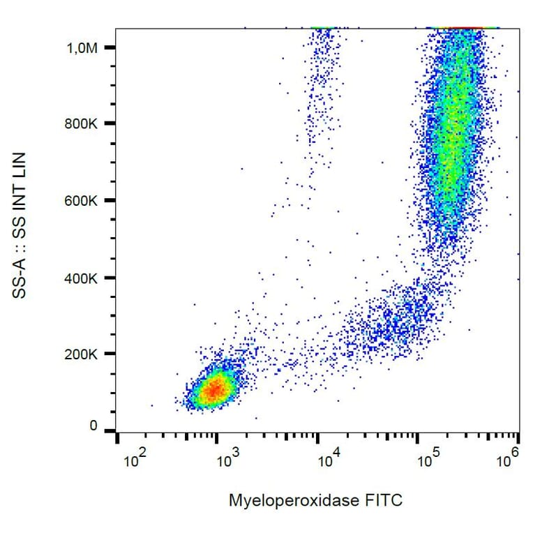 Flow Cytometry - Anti-Myeloperoxidase Antibody [MPO421-8B2] (FITC) (A86078)