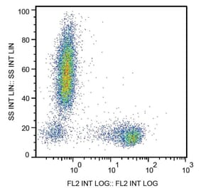 Flow Cytometry - Anti-CD27 Antibody [LT27] (PE) (A86079)