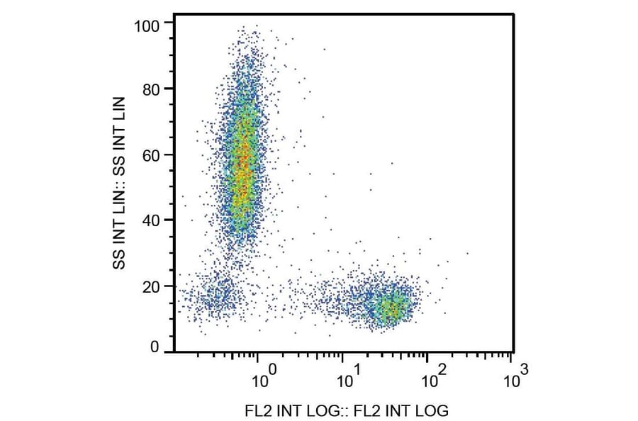 Flow Cytometry - Anti-CD27 Antibody [LT27] (PE) (A86079)