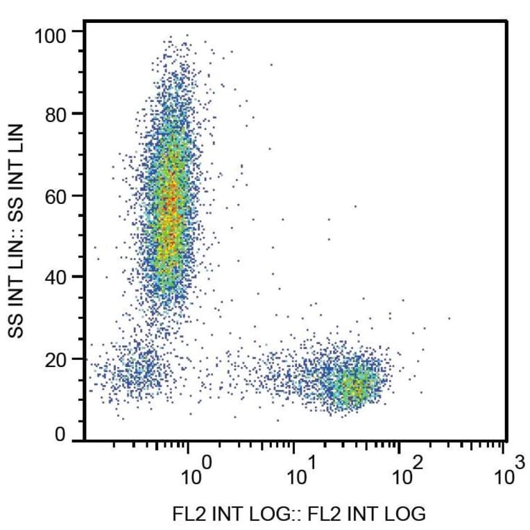 Flow Cytometry - Anti-CD27 Antibody [LT27] (PE) (A86079)