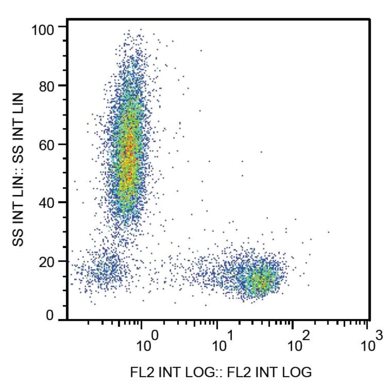 Flow Cytometry - Anti-CD27 Antibody [LT27] (PE) (A86078) - Antibodies.com