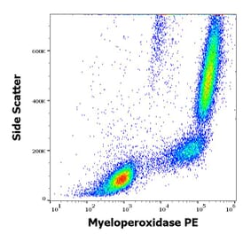 Flow Cytometry - Anti-Myeloperoxidase Antibody [MPO421-8B2] (PE) (A86080)