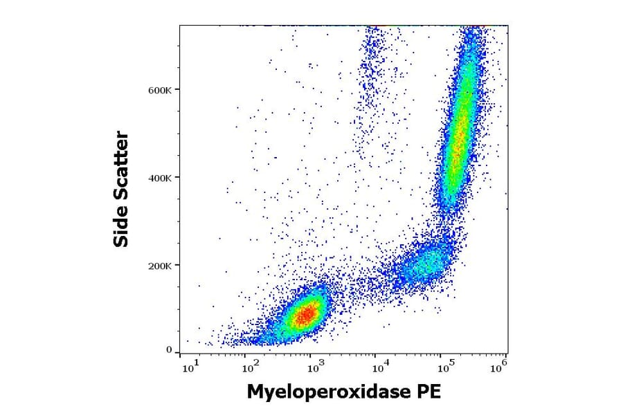 Flow Cytometry - Anti-Myeloperoxidase Antibody [MPO421-8B2] (PE) (A86080)