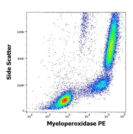 Flow Cytometry - Anti-Myeloperoxidase Antibody [MPO421-8B2] (PE) (A86080)