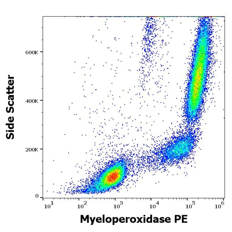 Flow Cytometry - Anti-Myeloperoxidase Antibody [MPO421-8B2] (PE) (A86080)