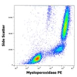 Flow Cytometry - Anti-Myeloperoxidase Antibody [MPO421-8B2] (PE) (A86080)