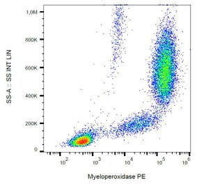 Flow Cytometry - Anti-Myeloperoxidase Antibody [MPO421-8B2] (PE) (A86079) - Antibodies.com