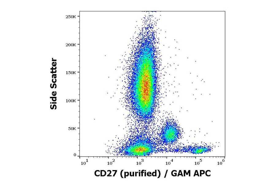 Flow Cytometry - Anti-CD27 Antibody [LT27] (A86084)