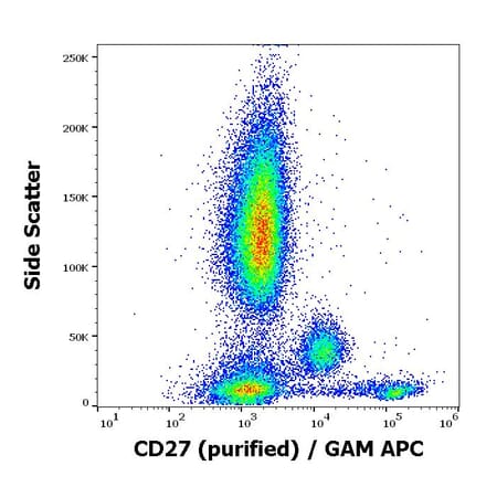 Flow Cytometry - Anti-CD27 Antibody [LT27] (A86084)