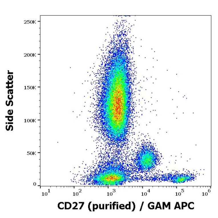 Flow Cytometry - Anti-CD27 Antibody [LT27] (A86084)