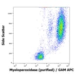 Flow Cytometry - Anti-Myeloperoxidase Antibody [MPO421-8B2] (A86085)