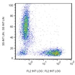 Flow Cytometry - Anti-CD7 Antibody [MEM-186] (PE) (A86094)