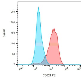 Flow Cytometry - Anti-E Cadherin Antibody [67A4] (PE) (A86100)