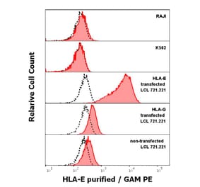 Flow Cytometry - Anti-HLA E Antibody [MEM-E/02] (A86105)