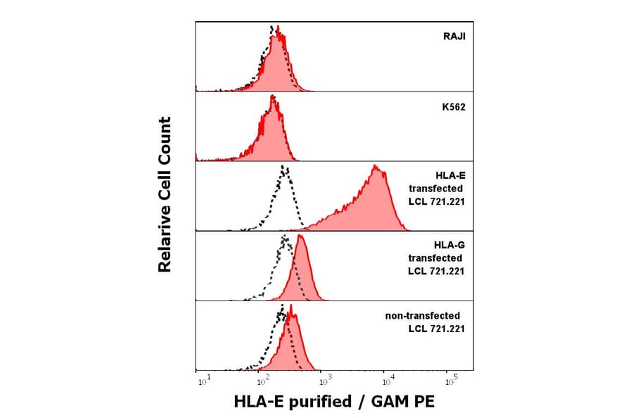 Flow Cytometry - Anti-HLA E Antibody [MEM-E/02] (A86105)