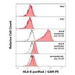Flow Cytometry - Anti-HLA E Antibody [MEM-E/02] (A86105)