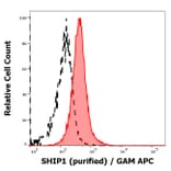 Flow Cytometry - Anti-SHIP-1 Antibody [SHIP-02] (A86107)