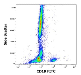 Flow Cytometry - Anti-CD19 Antibody [4G7] (FITC) (A86111)