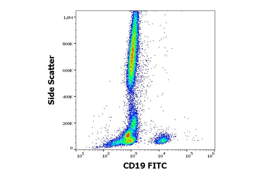 Flow Cytometry - Anti-CD19 Antibody [4G7] (FITC) (A86111)