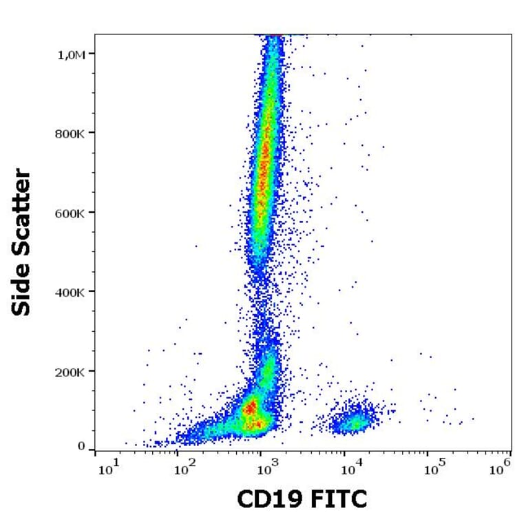 Flow Cytometry - Anti-CD19 Antibody [4G7] (FITC) (A86111)