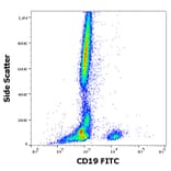 Flow Cytometry - Anti-CD19 Antibody [4G7] (FITC) (A86111)