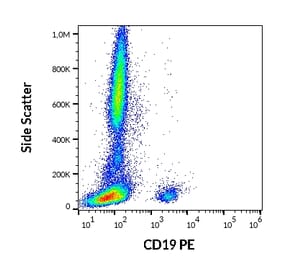 Flow Cytometry - Anti-CD19 Antibody [4G7] (PE) (A86113)