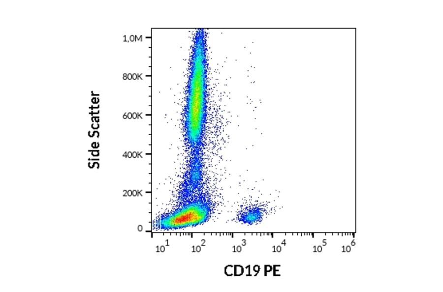 Flow Cytometry - Anti-CD19 Antibody [4G7] (PE) (A86113)