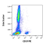 Flow Cytometry - Anti-CD19 Antibody [4G7] (PE) (A86113)