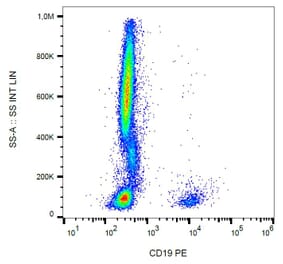 Flow Cytometry - Anti-CD19 Antibody [4G7] (PE) (A86112) - Antibodies.com