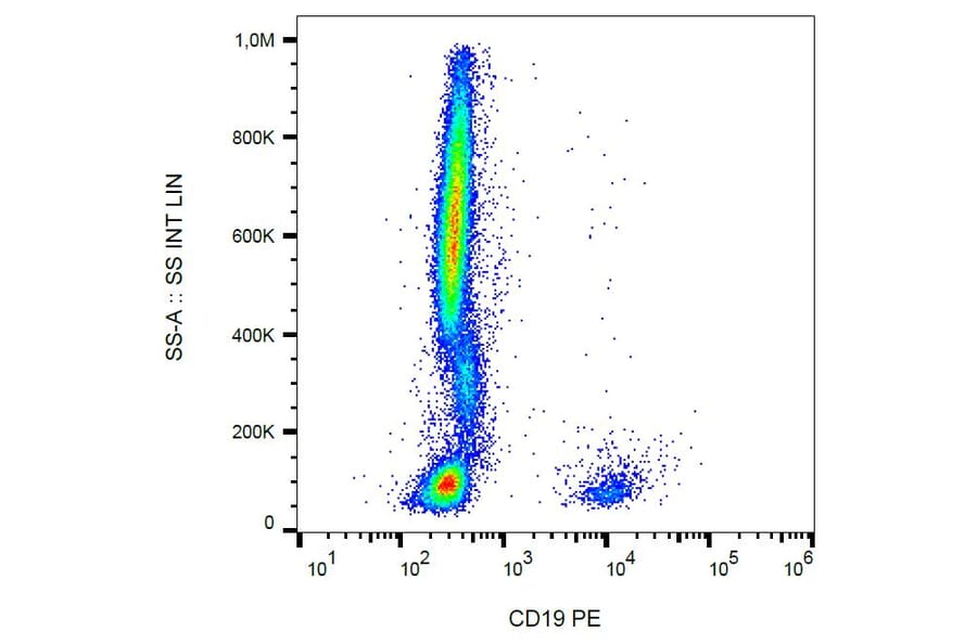 Flow Cytometry - Anti-CD19 Antibody [4G7] (PE) (A86112) - Antibodies.com