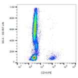 Flow Cytometry - Anti-CD19 Antibody [4G7] (PE) (A86112) - Antibodies.com