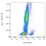 Flow Cytometry - Anti-CD19 Antibody [4G7] (PerCP) (A86113) - Antibodies.com