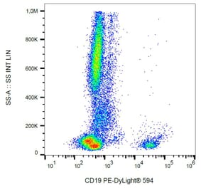 Flow Cytometry - Anti-CD19 Antibody [4G7] (PE-DyLight® 594) (A86114) - Antibodies.com