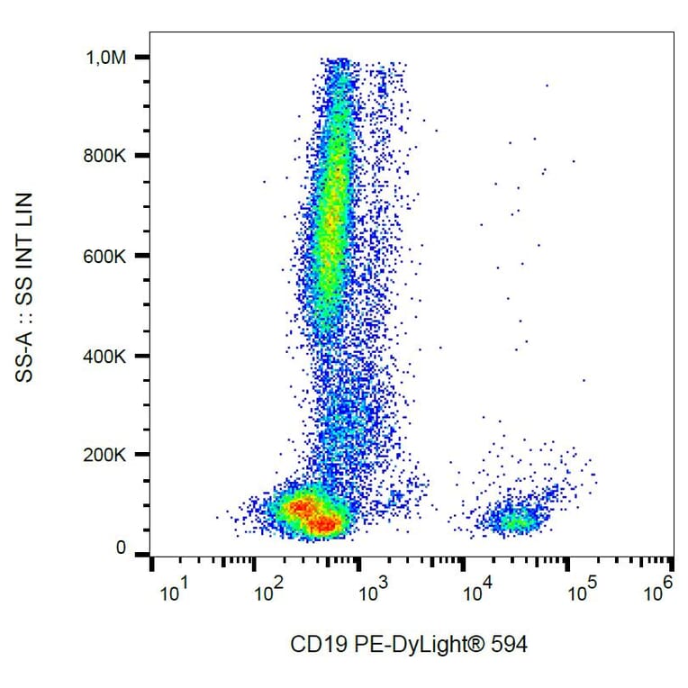 Anti-CD19 Antibody [4G7] (PE-DyLight® 594) (A86115)